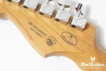 LIMITED EDITION PLAYER STRATOCASTER ROASTED MAPLE NECK